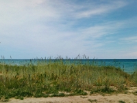 56623PaReCrLeRo - Sunday walk along the Waterfront Trail with Beth.jpg